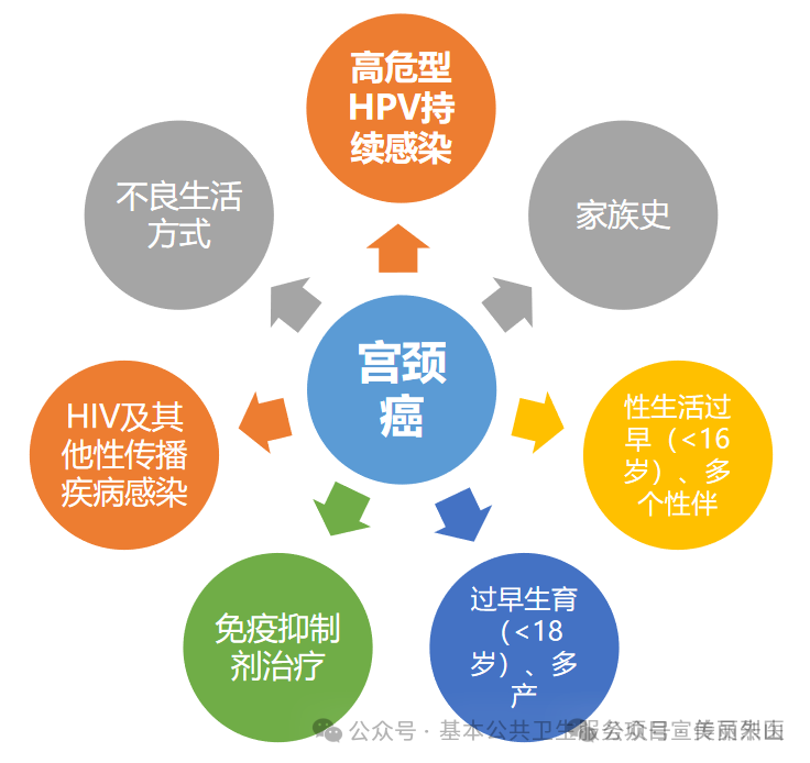 【健康烈山】烈山区2024年"宫颈癌"免费筛查活动开始啦!_烈山区人民政