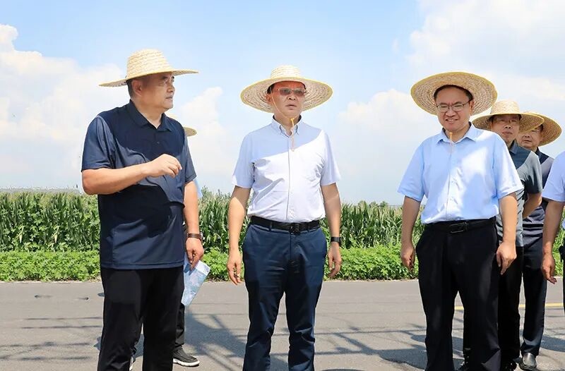 蒋曦调研高标准农田建设工作