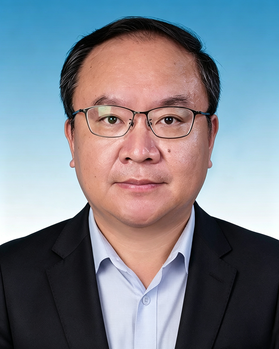 孙露露区委副书记，区政府区长、党组书记
